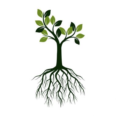 Yeşil ağaç yaprakları ve kökleri ile. Vektör çizim.