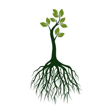 Yeşil ağaç yaprakları ve kökleri ile. Vektör çizim.