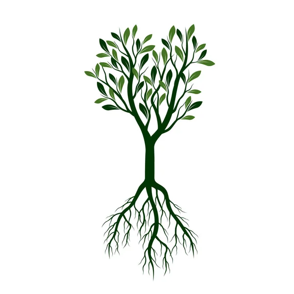 Green Tree with Leaves and Roots. Vector Illustration. — Stock Vector