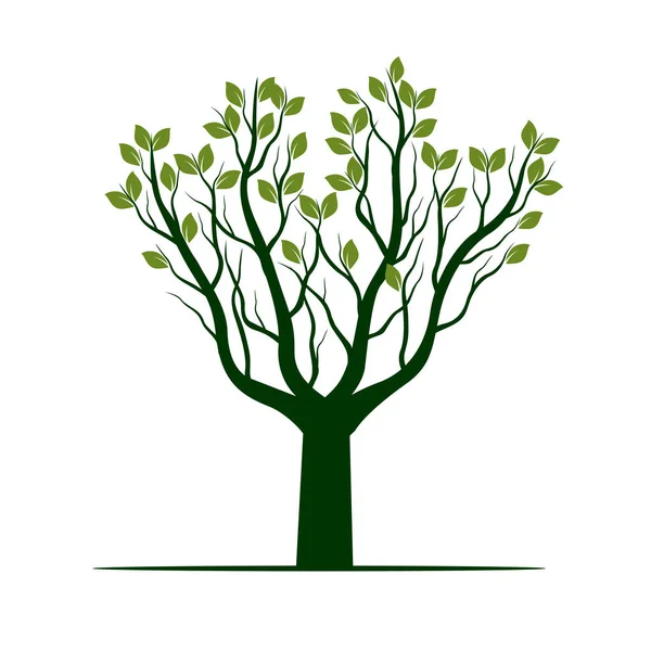 Grüner Baum mit Blättern. Vektorillustration. — Stockvektor