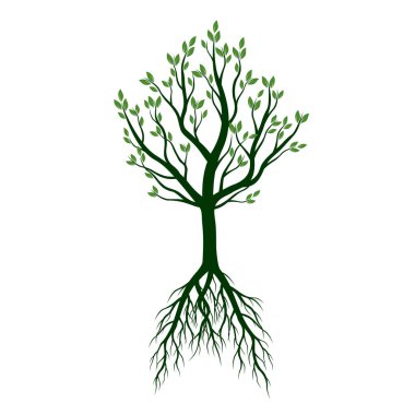 Yeşil ağaç kökleri ile. Vektör çizim.