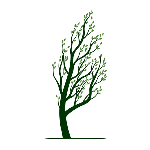 Green Tree with Leaves. Vector Illustration. — Stock Vector