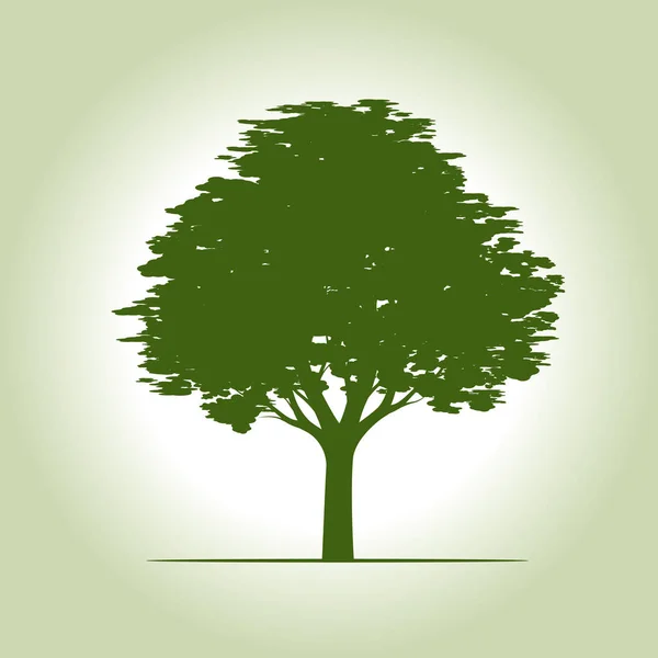 Hermoso árbol verde con hojas. Ilustración vectorial . — Vector de stock