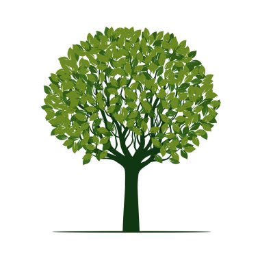 Yapraklı yeşil ağaç. vektör illüstrasyonu.