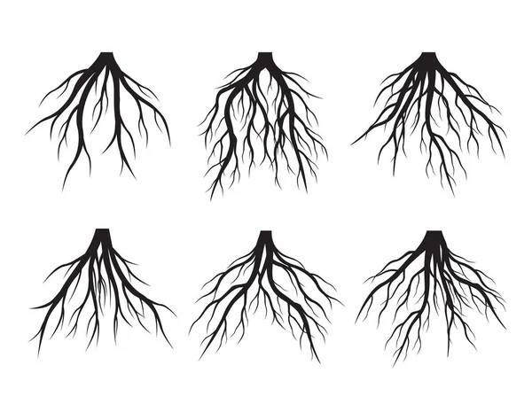 Mooie zwarte wortels boom. Vectorillustratie. — Stockvector