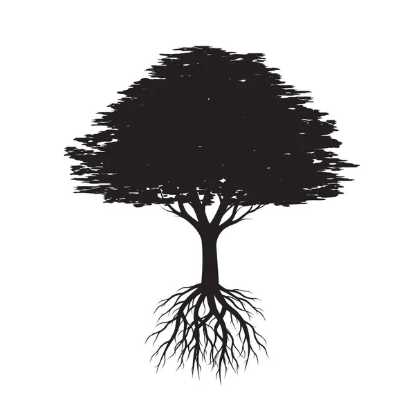 Bellissimo albero nero con foglie. Illustrazione vettoriale . — Vettoriale Stock