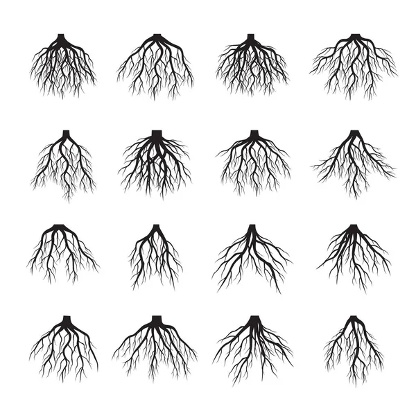 Beautiful Black Roots Tree. Vector Illustration. — Stock Vector