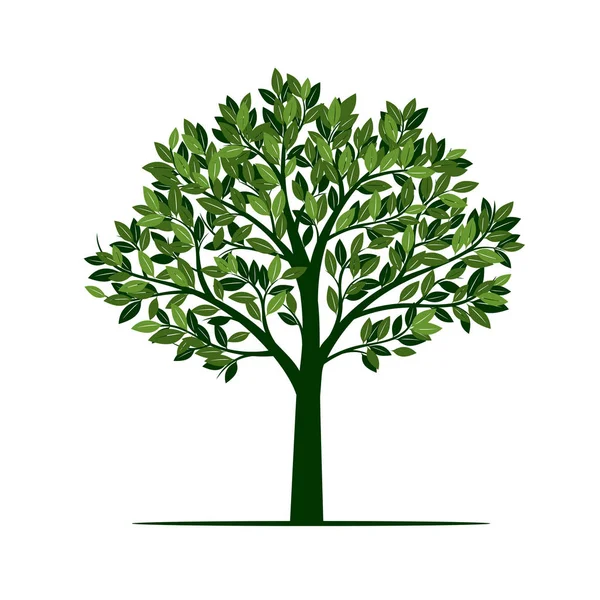 Zielone drzewa. Ilustracja wektorowa. — Wektor stockowy