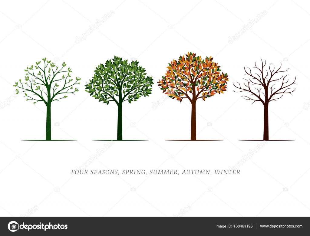 illustration of season trees four season trees vector illustration graphic elements stock vector 169 rolandtopor 168461196 illustration of season trees four season trees vector illustration graphic elements stock vector 169 rolandtopor 168461196