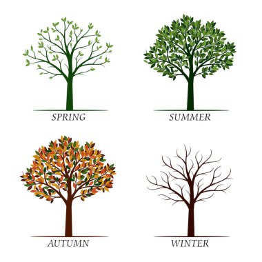 Dört sezon ağaçlar. Vektör çizim. Grafik öğeleri