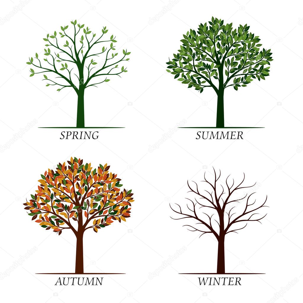 Four Season Trees. Vector Illustration. Graphic Elements