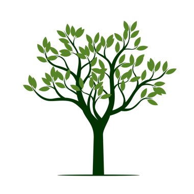 Yapraklı yeşil ağaç. vektör illüstrasyonu.
