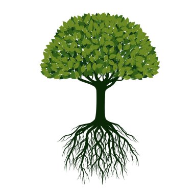 Büyük yeşil ağaç yaprakları ile. Vektör çizim.