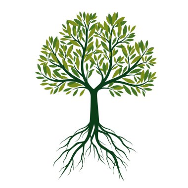 Yeşil ağaç kökleri ile. Vektör çizim.