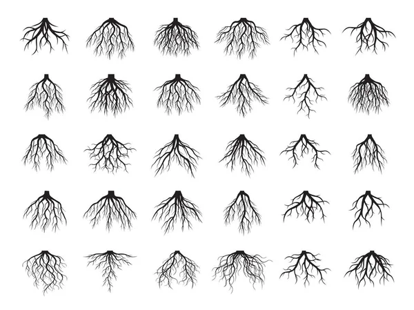 Hermoso árbol de raíces negras. Ilustración vectorial . — Vector de stock