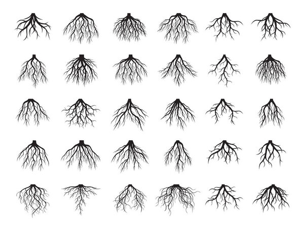 Beautiful Black Roots Tree. Vector Illustration.