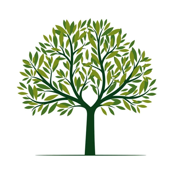 Yapraklı yeşil ağaç. vektör illüstrasyonu.