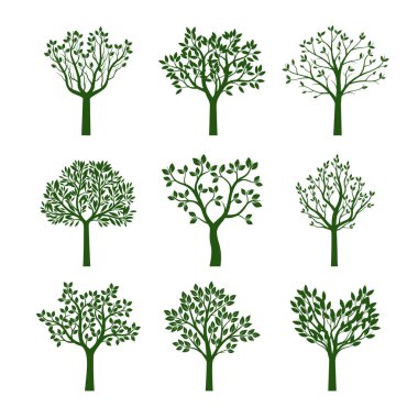 Yeşil ağaçların yaprakları ile ayarlayın. Vektör çizim.