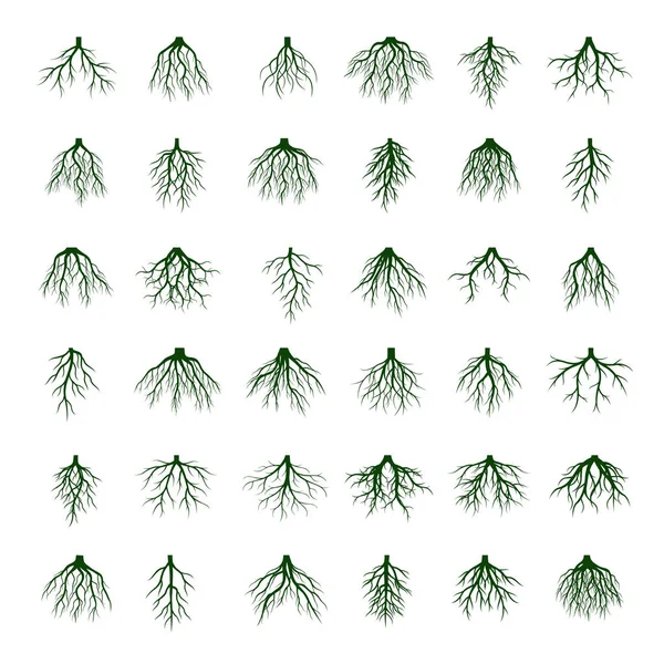 Großer Satz von grünen Wurzeln Baum. Vektorillustration. — Stockvektor