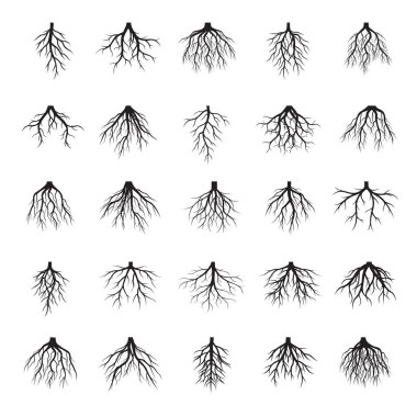 Siyah kökleri ağaç kümesi. Vektör çizim.