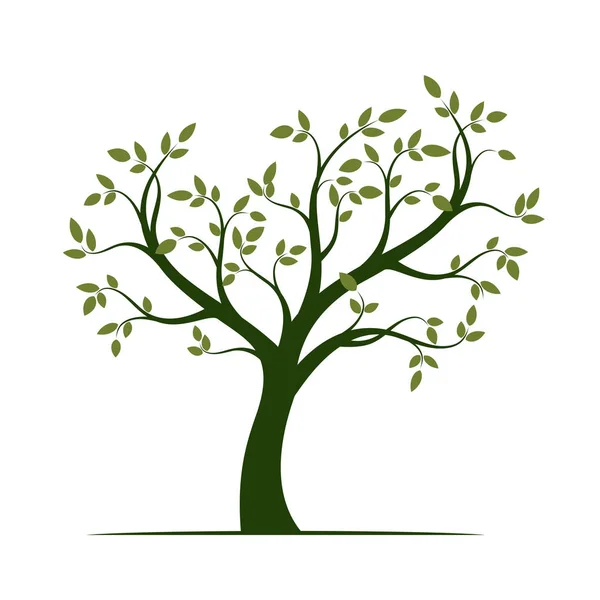Form av gröna träd med blad. Vektorillustration. — Stock vektor