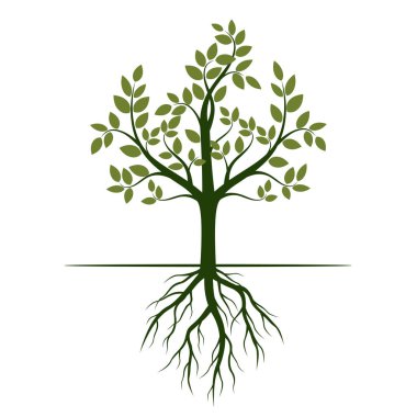 Yeşil ağaç kökleri ile. Vektör çizim.