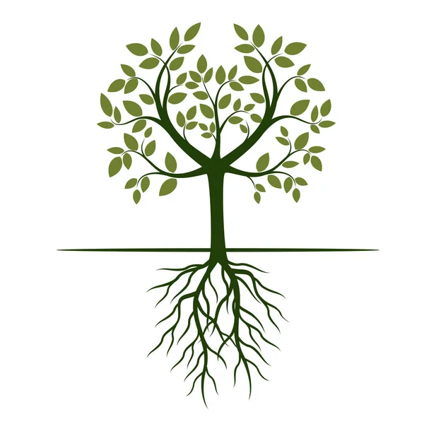 Vorm van groene boom met de wortels. Vectorillustratie. — Stockvector