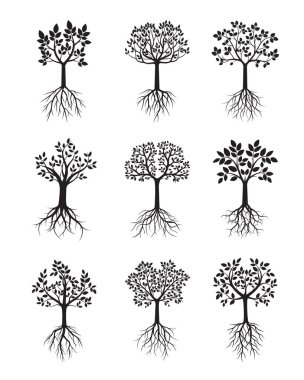 Siyah ağaçlar kökleri ile ayarlayın. Vektör çizim.