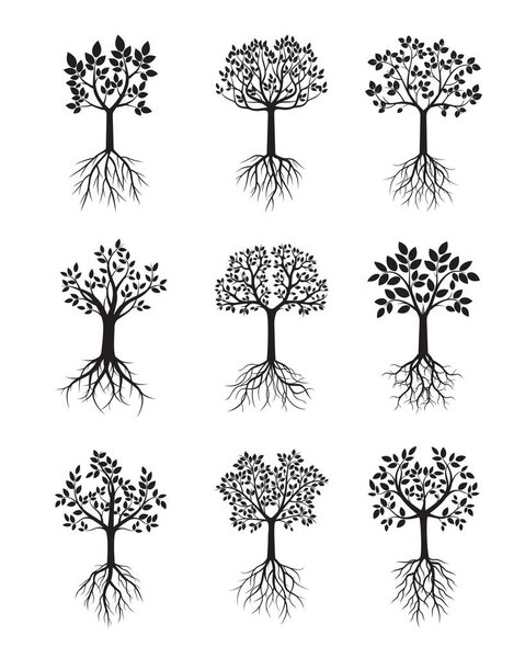 "Set Black Trees with Roots". Векторная миграция
.