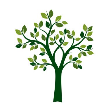 Yeşil bahar ağacı. vektör çizim.