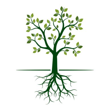 Ağaç kökleri ile yeşil bahar. Vektör çizim.