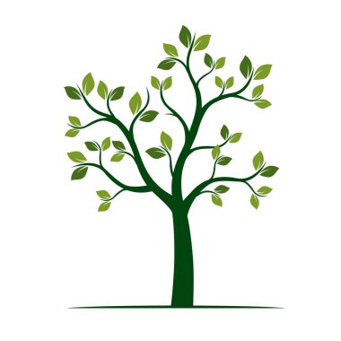 Yeşil bahar ağacı. vektör çizim.