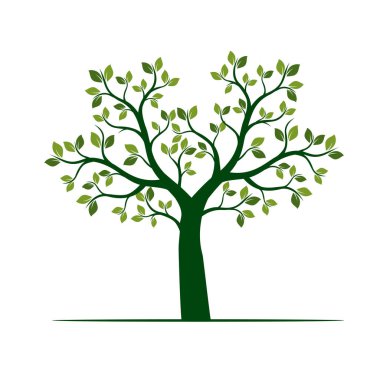 Yeşil bahar ağacı. vektör çizim.