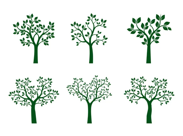 Set of Green Trees. Vector Illustration. — Stock Vector