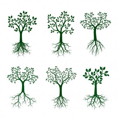 Yeşil Ağaçların kökleri ile ayarlayın. Vektör çizim.