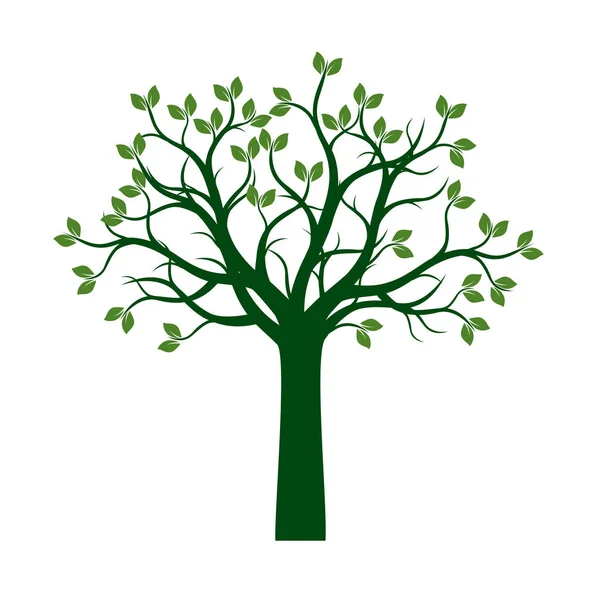 Albero verde primaverile. Illustrazione vettoriale . — Vettoriale Stock