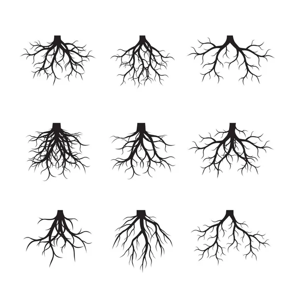 Set of black Roots. Vector Illustration. — Stock Vector