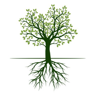 Ağaç kökleri ile yeşil bahar. Vektör çizim.