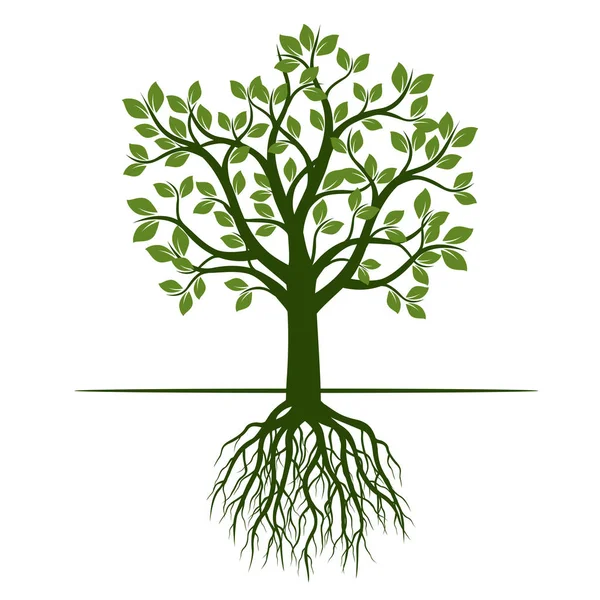 Зеленое весеннее дерево с корнями. Векторная миграция . — стоковый вектор