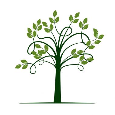 Yeşil bahar ağacı. vektör çizim.