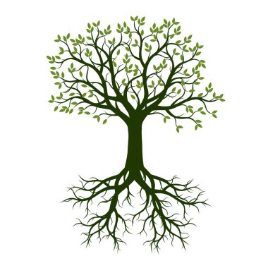 Yeşil güzel ağaç yaprakları ile. Vektör çizim.