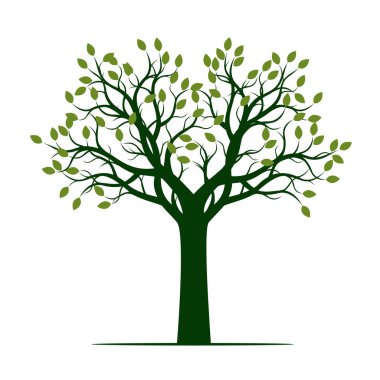 Yapraklı yeşil ağaç. vektör illüstrasyonu.