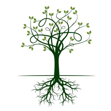 Yeşil ağaç kökleri ile. Vektör çizim.