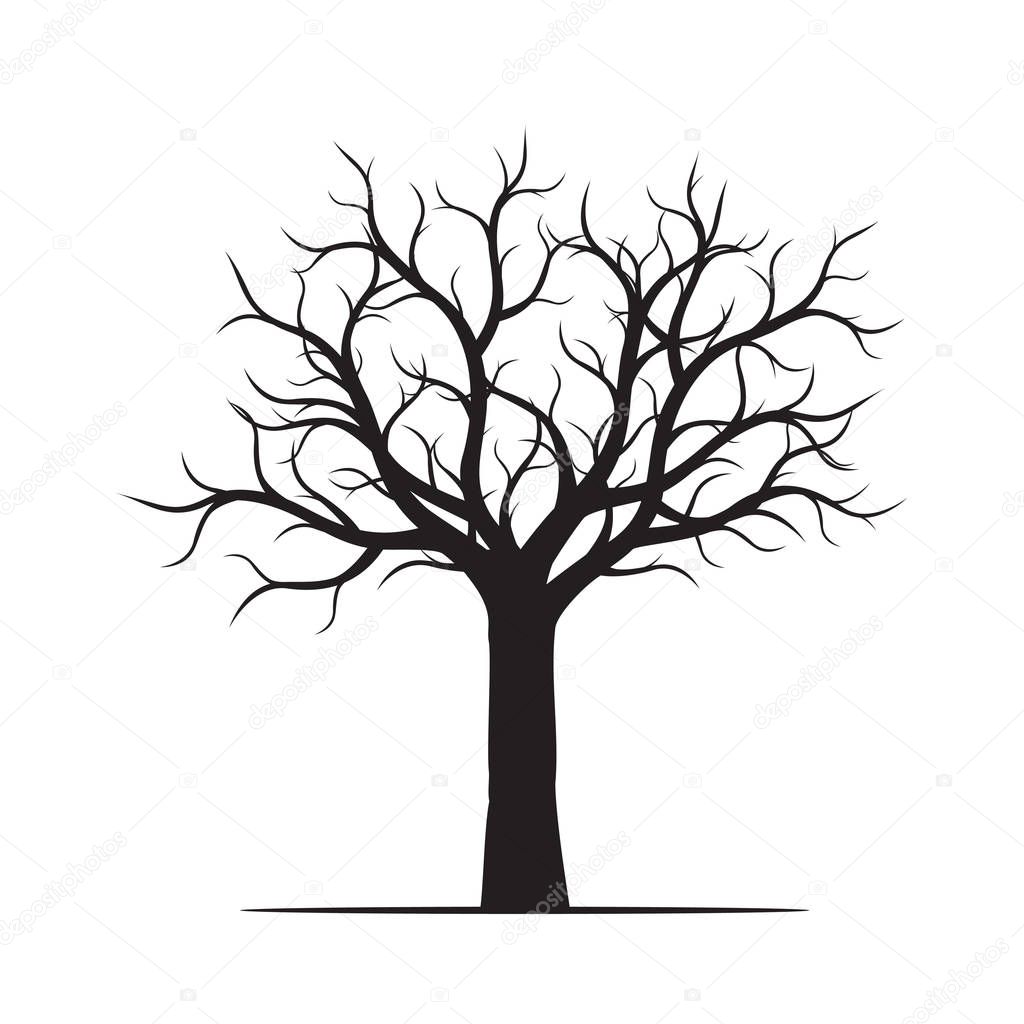 Imágenes: árboles sin hojas | Negro árbol sin hojas ...