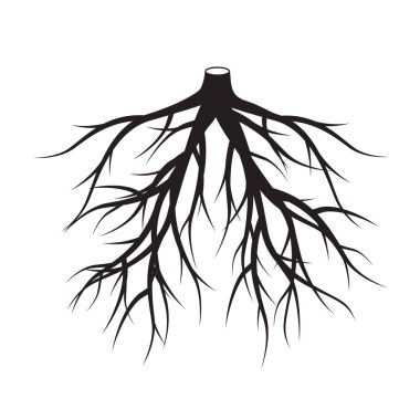 Siyah kökleri ağaç. Vektör çizim.