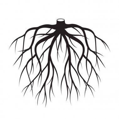 Siyah kökleri ağaç. Vektör çizim.