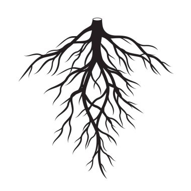 Siyah kökleri ağaç. Vektör çizim.