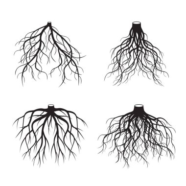 Siyah kökleri ağaç kümesi. Vektör çizim.