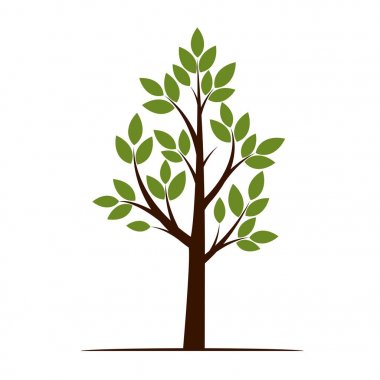 Yapraklı yeşil ağaç. vektör illüstrasyonu.