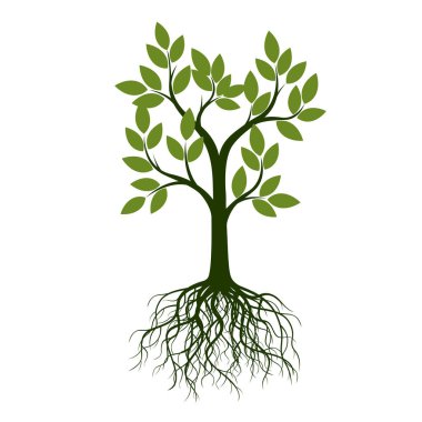 Yeşil ağaç yaprakları ve kökleri ile. Vektör çizim.